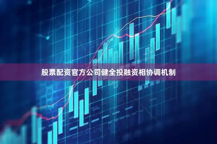 股票配资官方公司健全投融资相协调机制