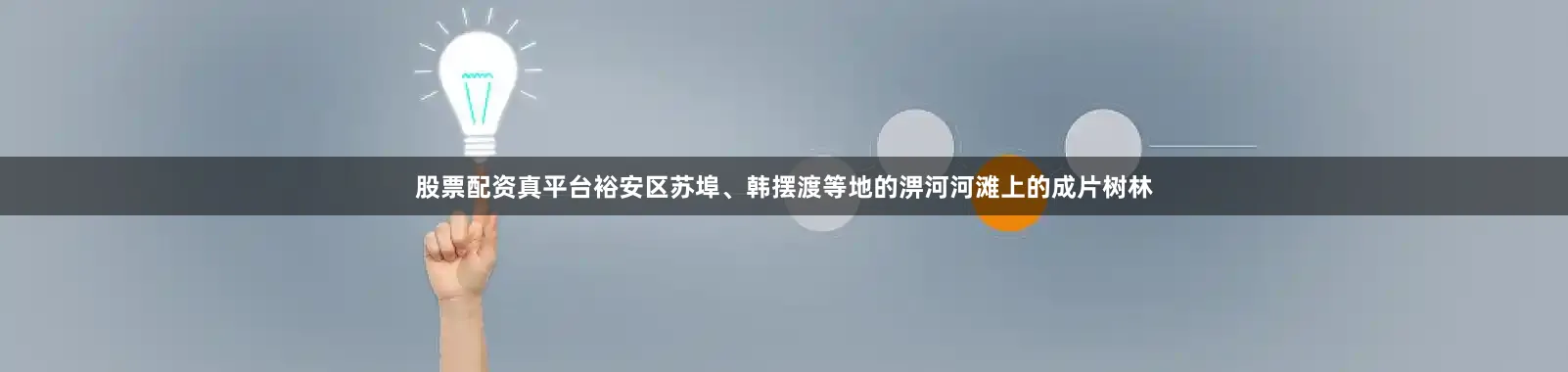 股票配资真平台裕安区苏埠、韩摆渡等地的淠河河滩上的成片树林