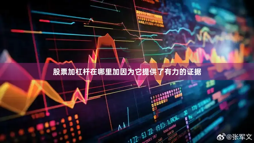 股票加杠杆在哪里加因为它提供了有力的证据