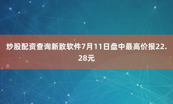炒股配资查询新致软件7月11日盘中最高价报22.28元