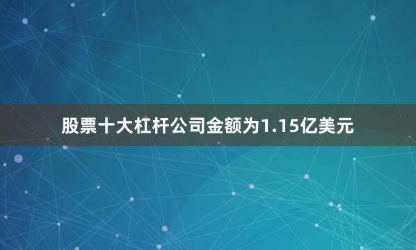 股票十大杠杆公司金额为1.15亿美元