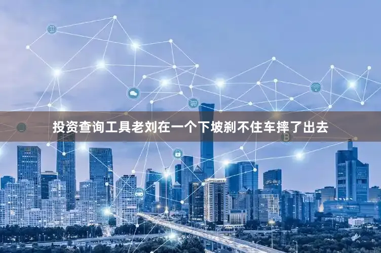 投资查询工具老刘在一个下坡刹不住车摔了出去
